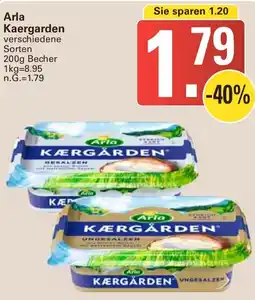 WEZ Arla Kaergarden Angebot