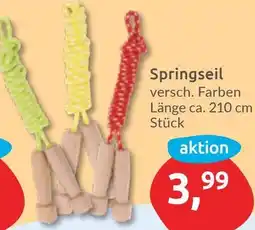 Budni Springseil Angebot