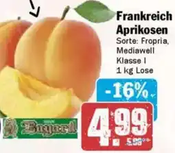 Hit Frankreich Aprikosen Angebot