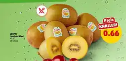 PENNY ZESPRI SunGold Kiwi Angebot