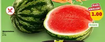 PENNY Wassermelone Angebot