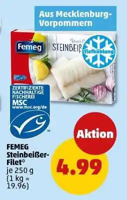 PENNY FEMEG Steinbeißer-Filet Angebot