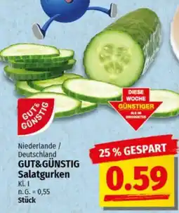 NP Discount GUT&GÜNSTIG Salatgurken Angebot