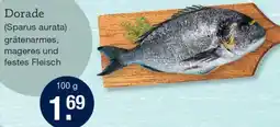 V Markt Dorade Angebot