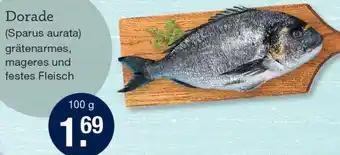 V Markt Dorade Angebot