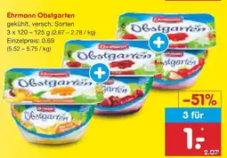 Netto Marken-Discount Ehrmann obstgarten Angebot