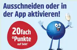 Netto Marken-Discount Payback 20fach °punkte Angebot