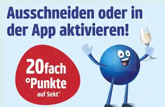 Netto Marken-Discount Payback 20fach °punkte Angebot