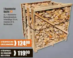 V Baumarkt 1 Raummeter Buche Angebot