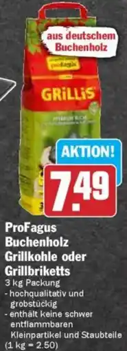 Hit ProFagus Buchenholz Grillkohle oder Grillbriketts Angebot