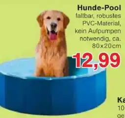 Jawoll Hunde-Pool Angebot