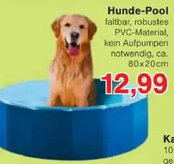 Jawoll Hunde-Pool Angebot