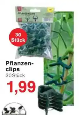 Jawoll Pflanzen- clips Angebot