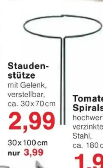Jawoll Stauden- stütze Angebot