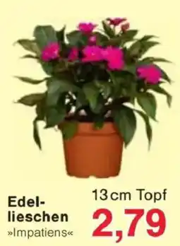 Jawoll Edel- lieschen Angebot