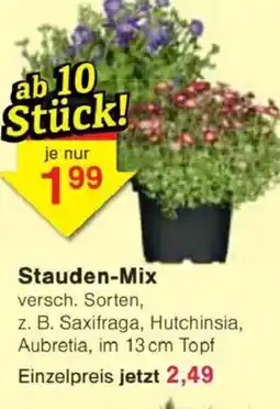 Jawoll Stauden-Mix Angebot