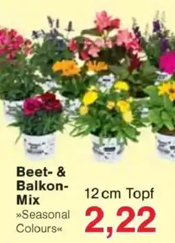Jawoll Beet- & Balkon- Mix Angebot