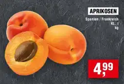 Handelshof APRIKOSEN Angebot