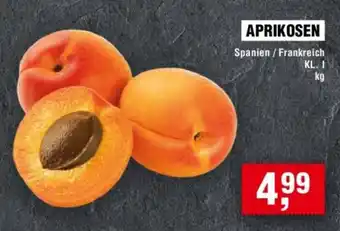 Handelshof APRIKOSEN Angebot