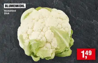 Handelshof BLUMENKOHL Angebot