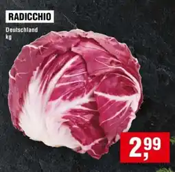 Handelshof RADICCHIO Angebot