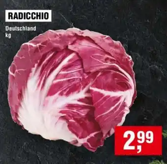 Handelshof RADICCHIO Angebot