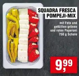 Handelshof SQUADRA FRESCA POMPEJI-MIX Angebot