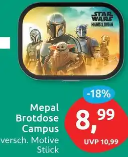 Budni Mepal Brotdose Campus Angebot