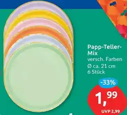 Budni Papp-Teller Mix Angebot