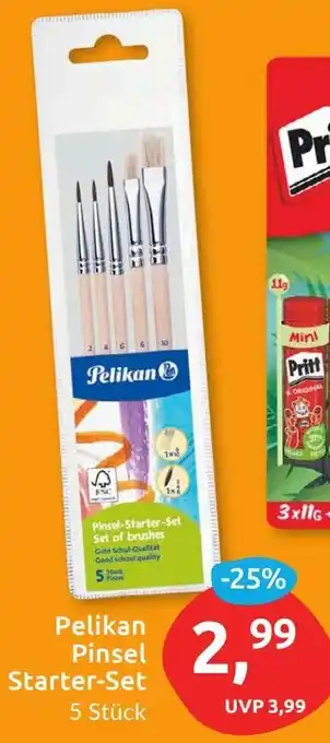 Budni Pelikan Pinsel Starter-Set Angebot