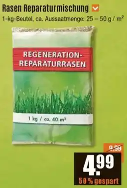 V Baumarkt Rasen Reparaturmischung Angebot