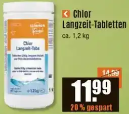 V Baumarkt Chlor Langzeit-Tabletten Angebot