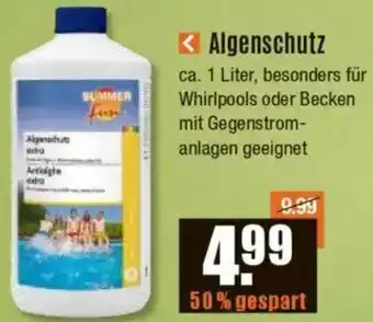 V Baumarkt Algenschutz Angebot