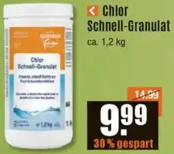 V Baumarkt Chlor Schnell-Granulat Angebot