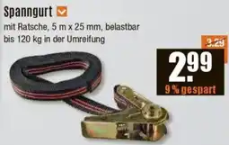 V Baumarkt Spanngurt Angebot