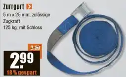 V Baumarkt Zurrgurt Angebot