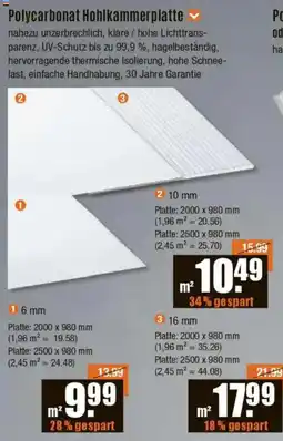 V Baumarkt Polycarbonat Hohlkammerplatte Angebot