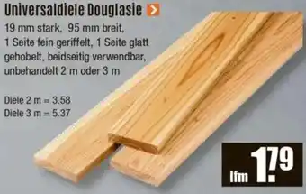 V Baumarkt Universaldiele Douglasie Angebot