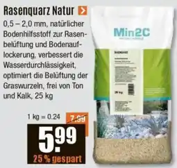 V Baumarkt Min2C Rasenquarz Natur Angebot