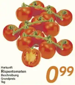 inkoop Herkunft Rispentomaten Angebot