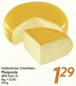 inkoop Holländischer Schnittkäse Maigouda Angebot