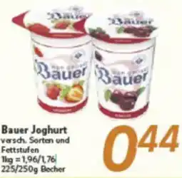 inkoop Bauer Joghurt Angebot