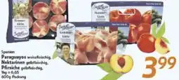 inkoop Spanien Paraguayos oder Nektarinen Angebot