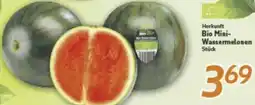 inkoop Herkunft Bio Mini Wassermelonen Angebot