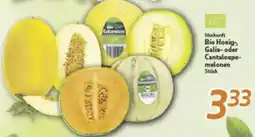 inkoop Herkunft Bio Honig, Galia- oder Cantaloupemelonen Angebot