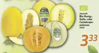 inkoop Herkunft Bio Honig, Galia- oder Cantaloupemelonen Angebot