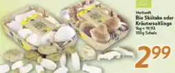 inkoop Herkunft Bio Shiitake oder Kräutersaitlinge Angebot