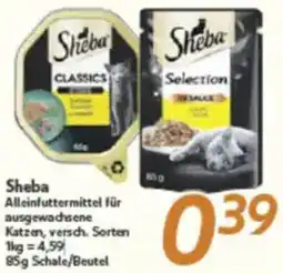 inkoop Sheba Angebot