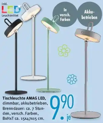 Trends Möbel Tischleuchte AMAG LED Angebot