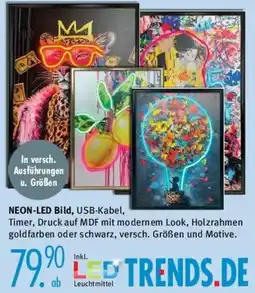 Trends Möbel NEON-LED Bild Angebot